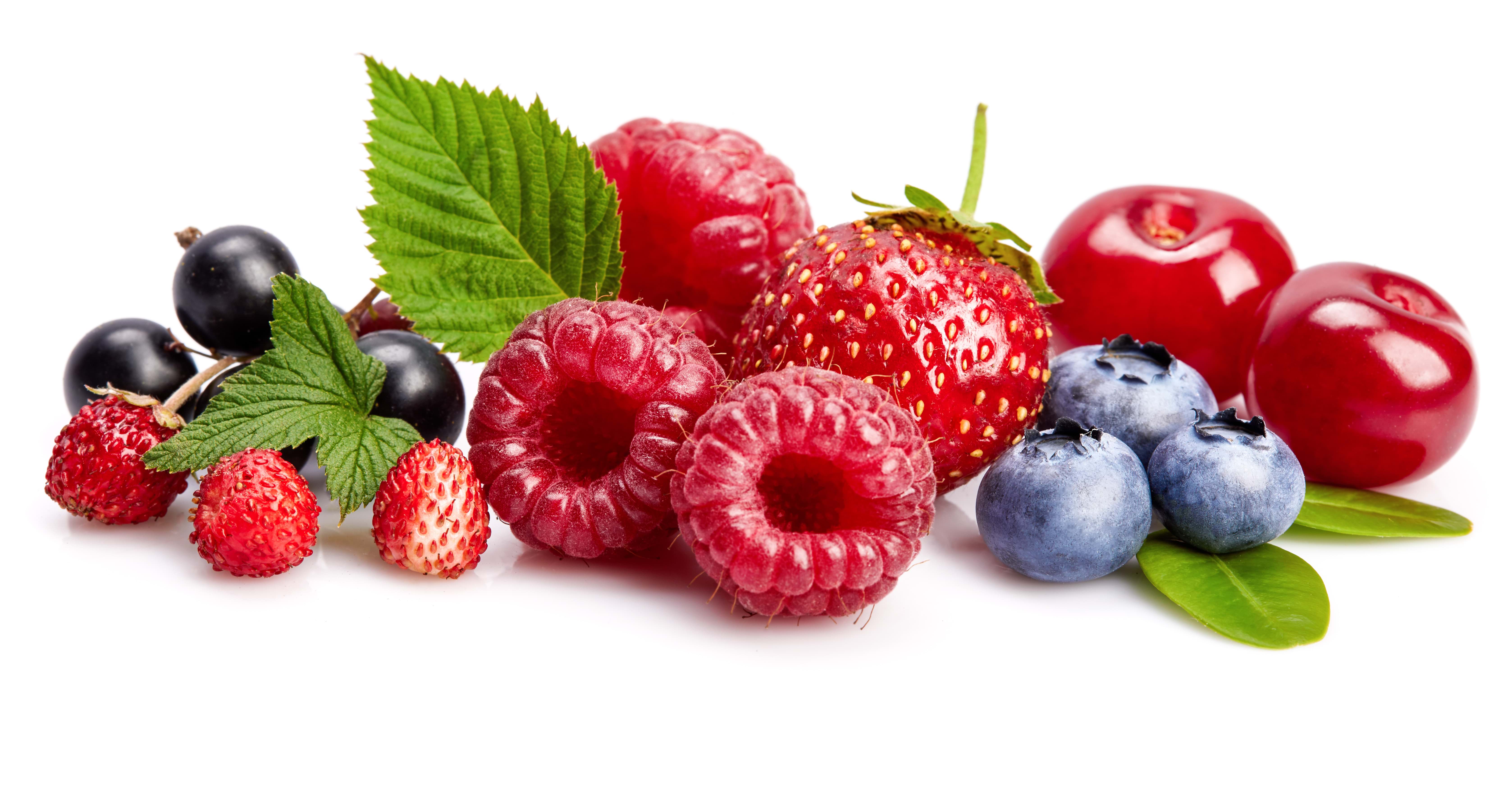 Entdecke Beeren