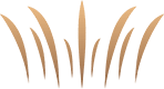 Krone de Bavaria, 1876